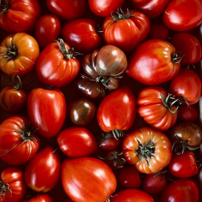 Tomates en mélange / 500 g